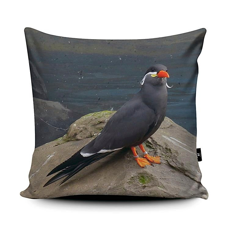 Inca Tern by Rachael Hearn