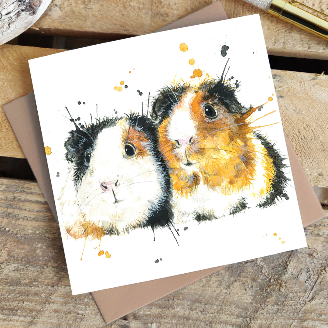 Splatter Guinea Pigs