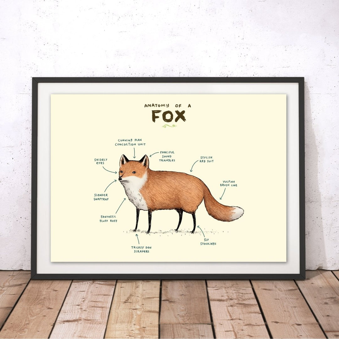 Anatomy of a Fox Original Print - Sophie Corrigan - Wraptious