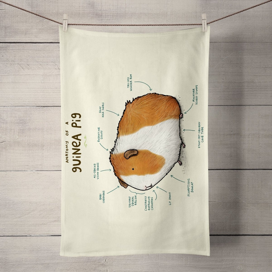 Anatomy of a Guinea Pig Tea Towel - Sophie Corrigan - Wraptious