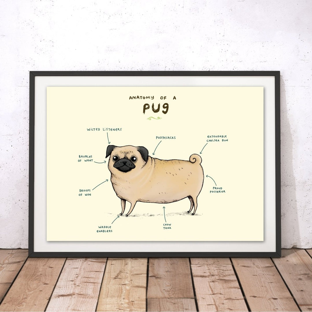 Anatomy of a Pug Original Print - Sophie Corrigan - Wraptious