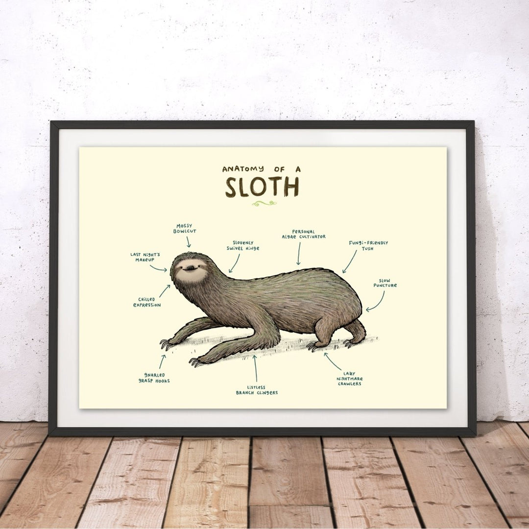 Anatomy of a Sloth Original Print - Sophie Corrigan - Wraptious