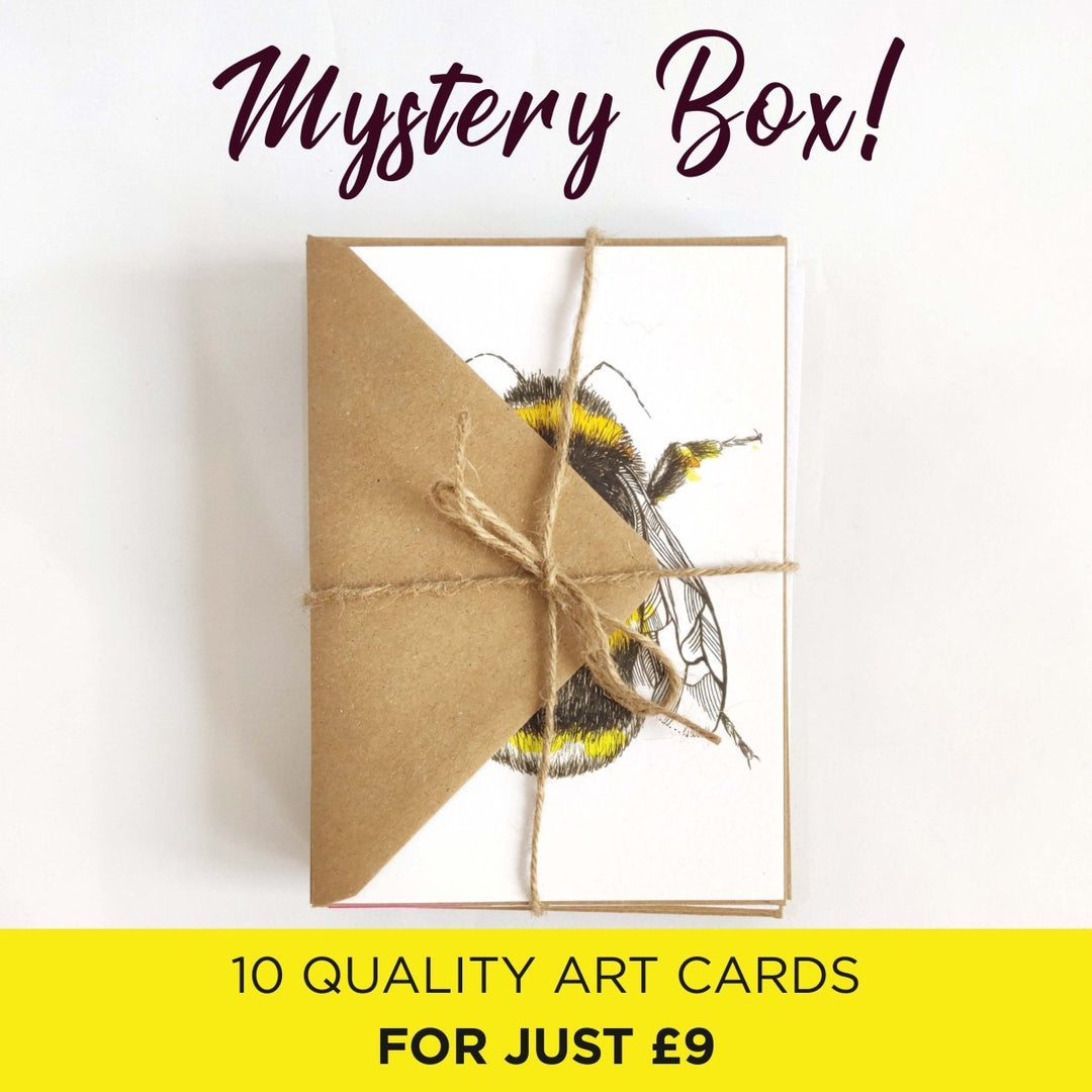 Mystery Cards 10 Pack Mystery Box - Mystery Box - Wraptious