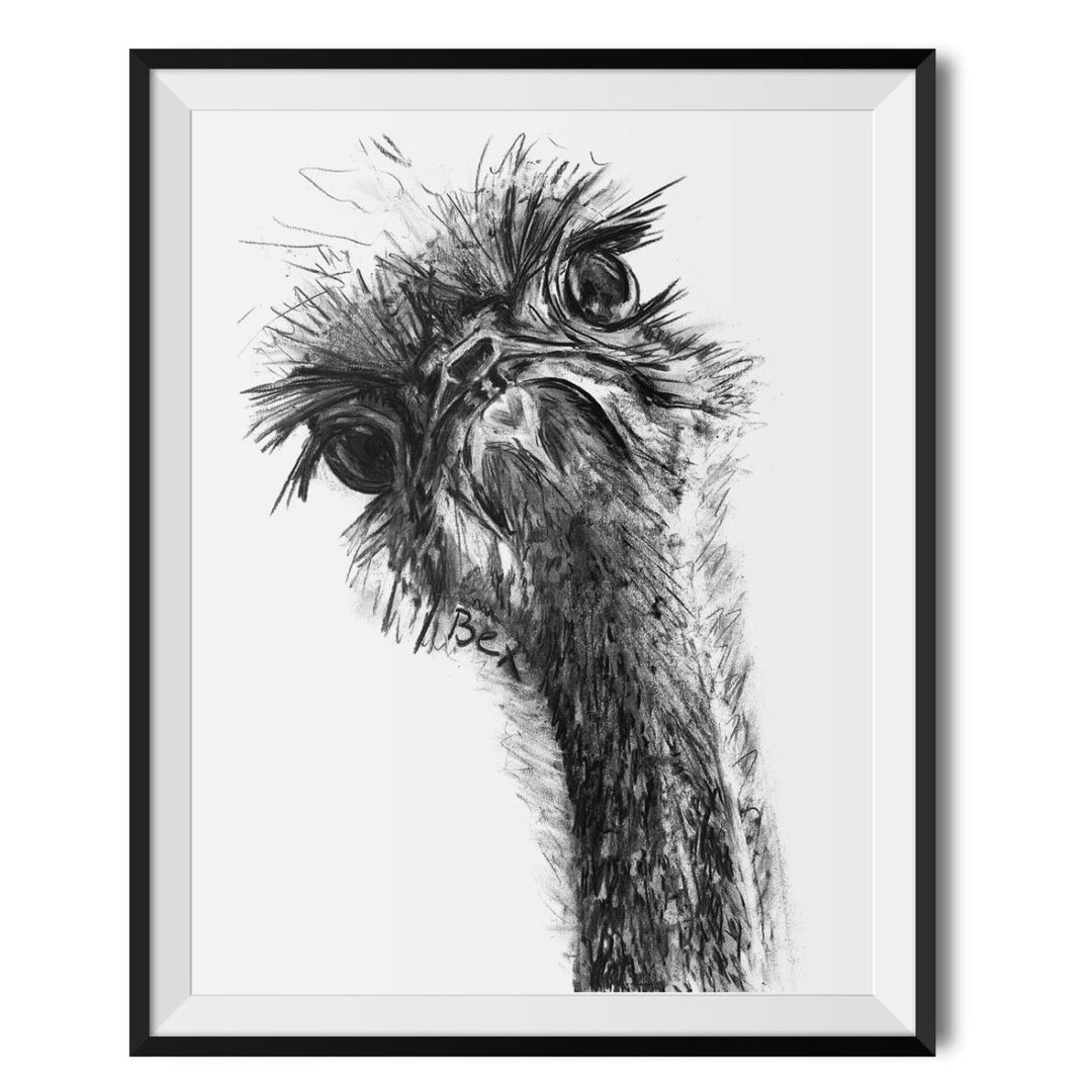 Ostrich Original Print - Bex Williams - Wraptious
