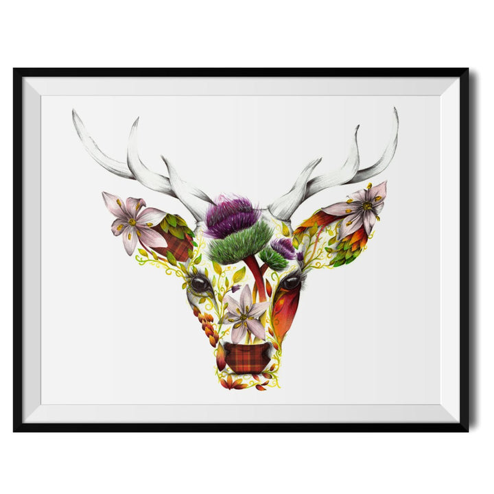 Stirling Original Print - Kat Baxter - Wraptious