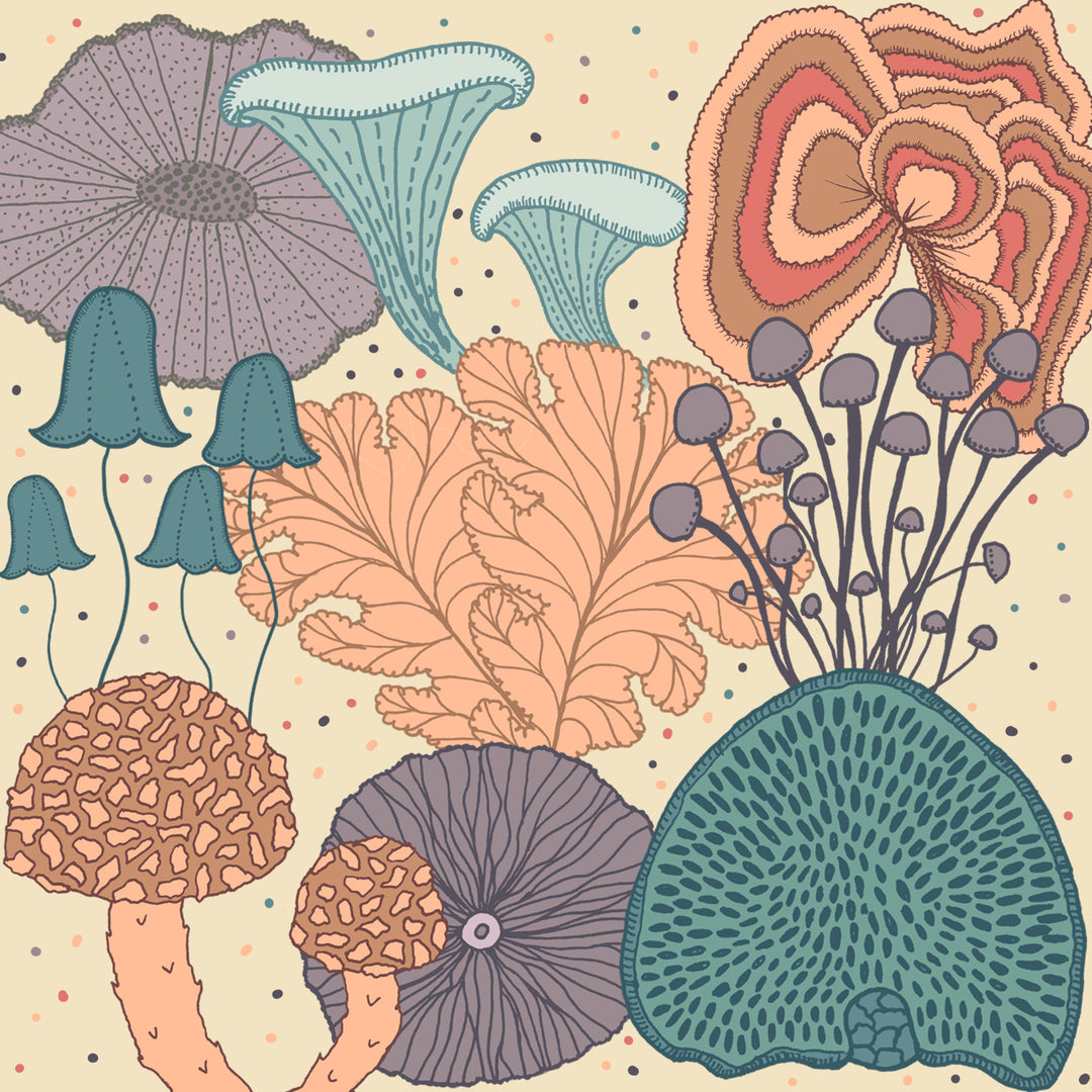 Our fungi-themed design brief for Make it in Design