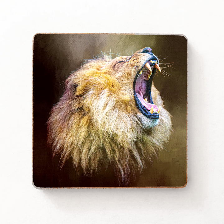 Hear Me Roar