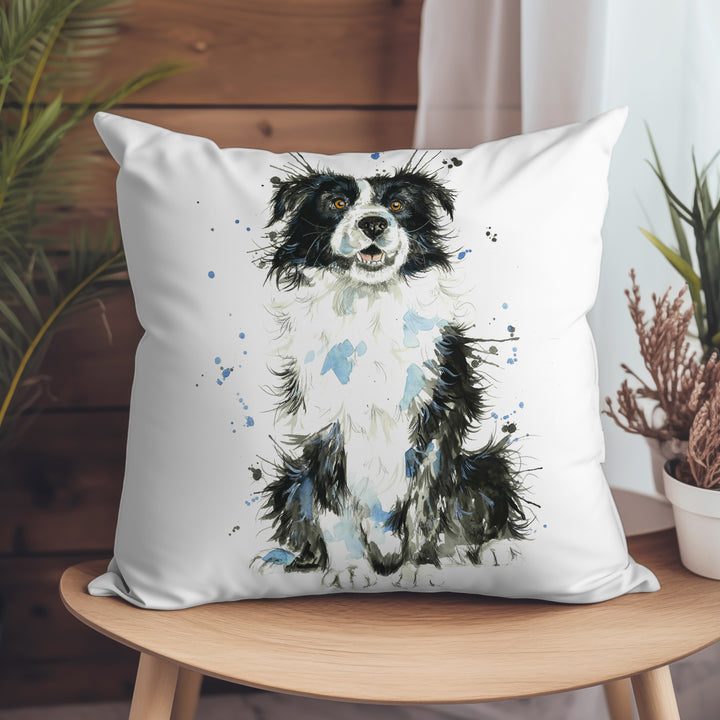 Splatter Border Collie