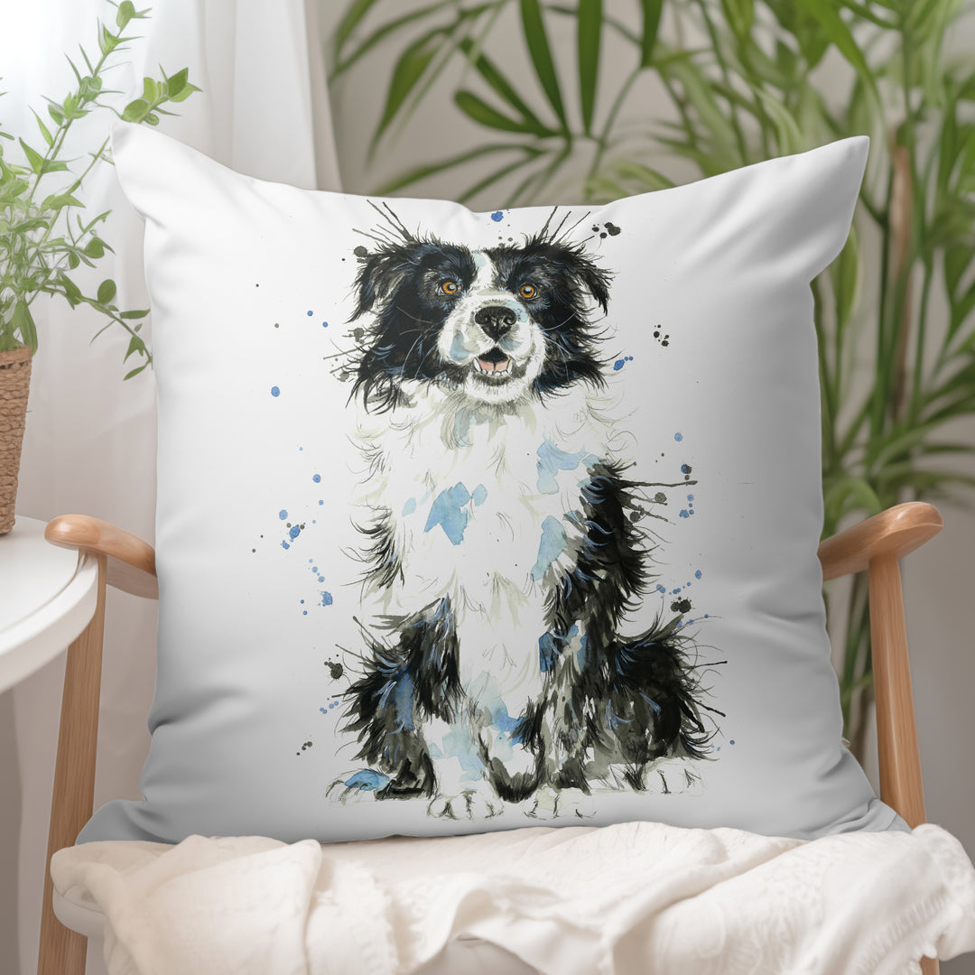 Splatter Border Collie