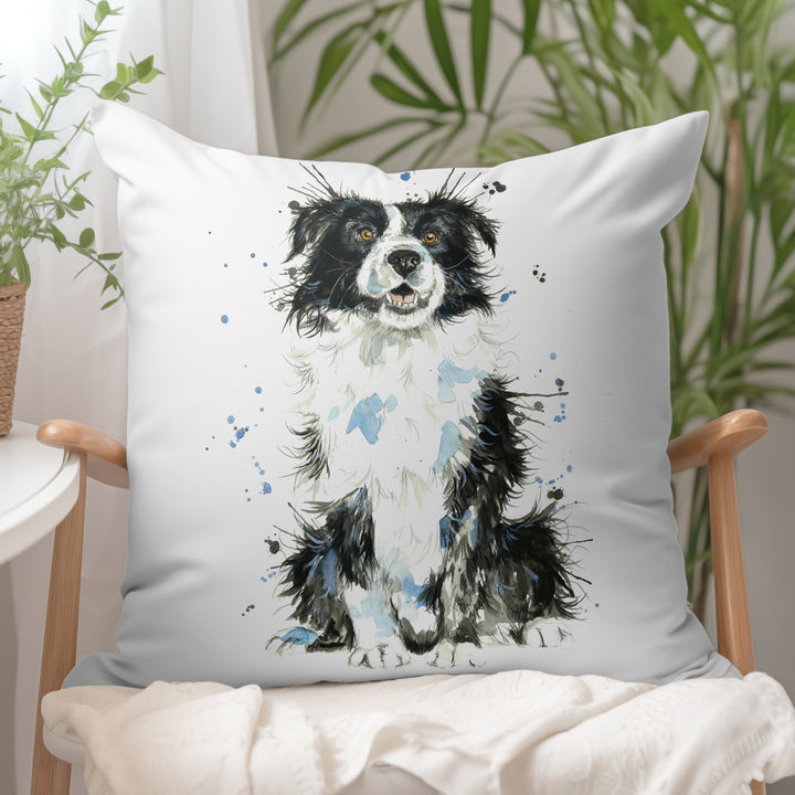 Splatter Border Collie