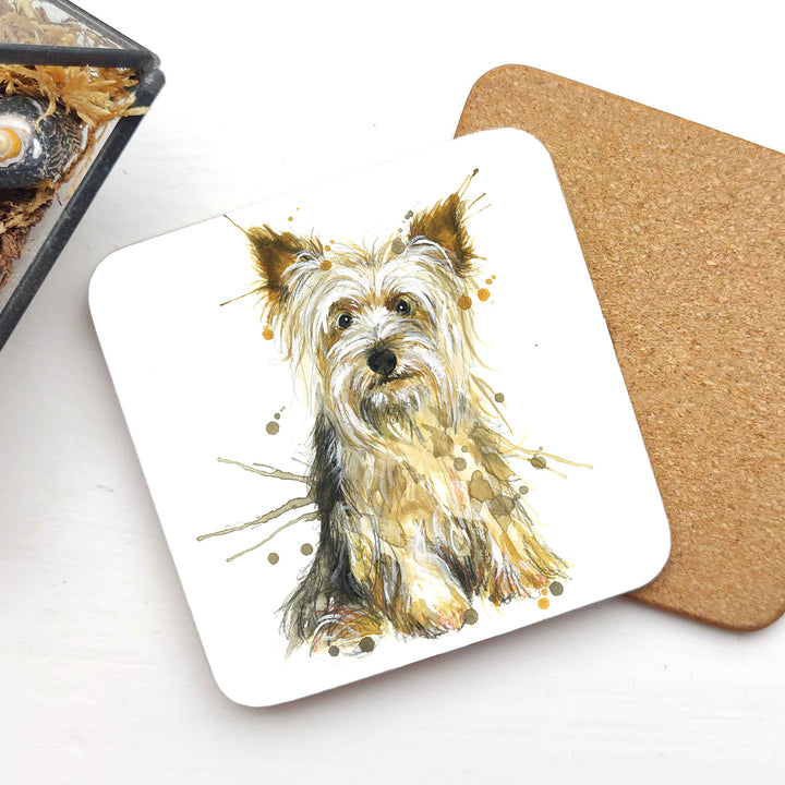 Splatter Yorkshire Terrier