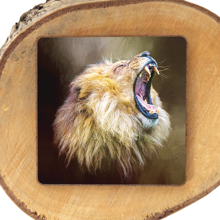 Hear Me Roar