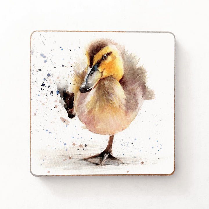 Baby Duckling