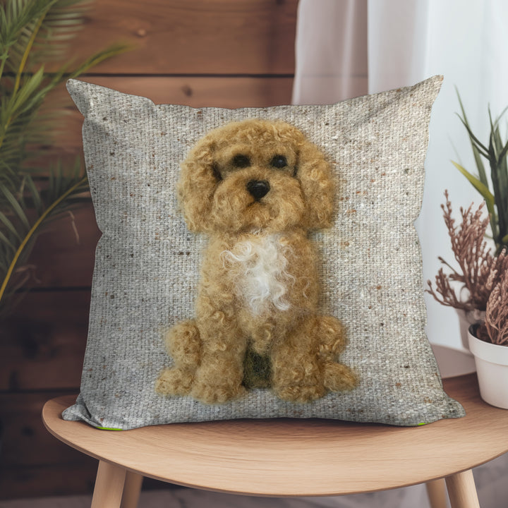 Cockapoo