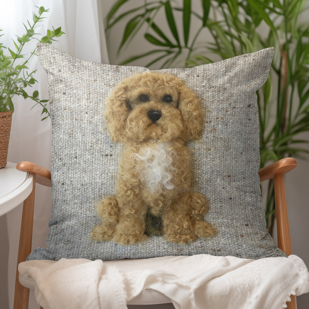 Cockapoo