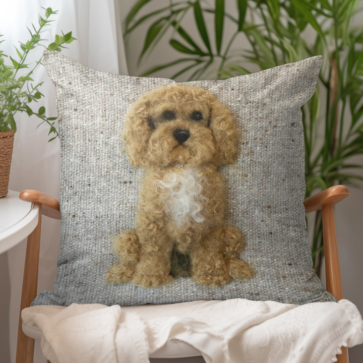Cockapoo