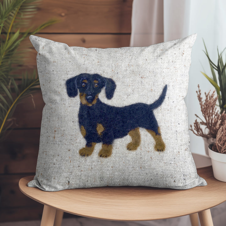 Dachshund