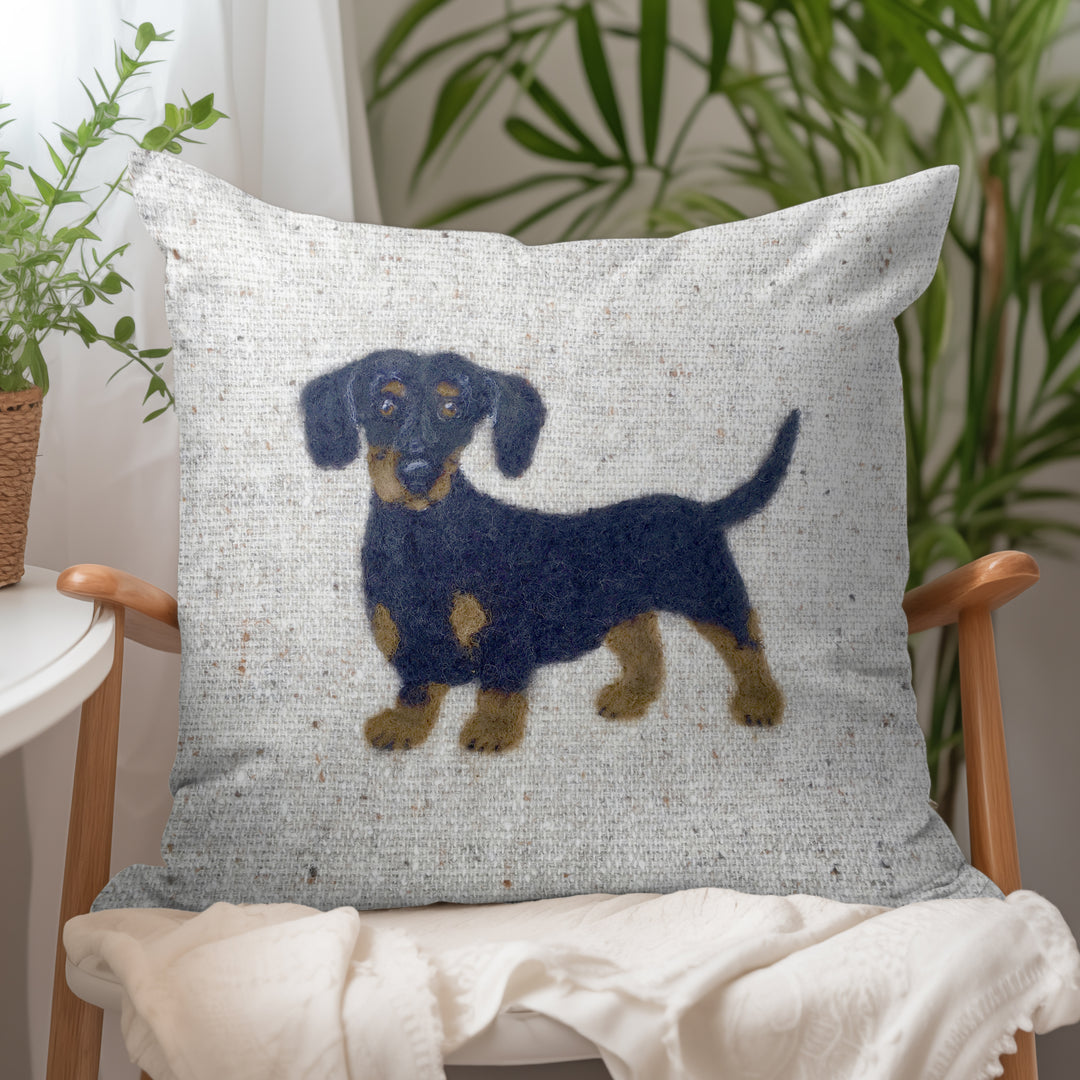 Dachshund