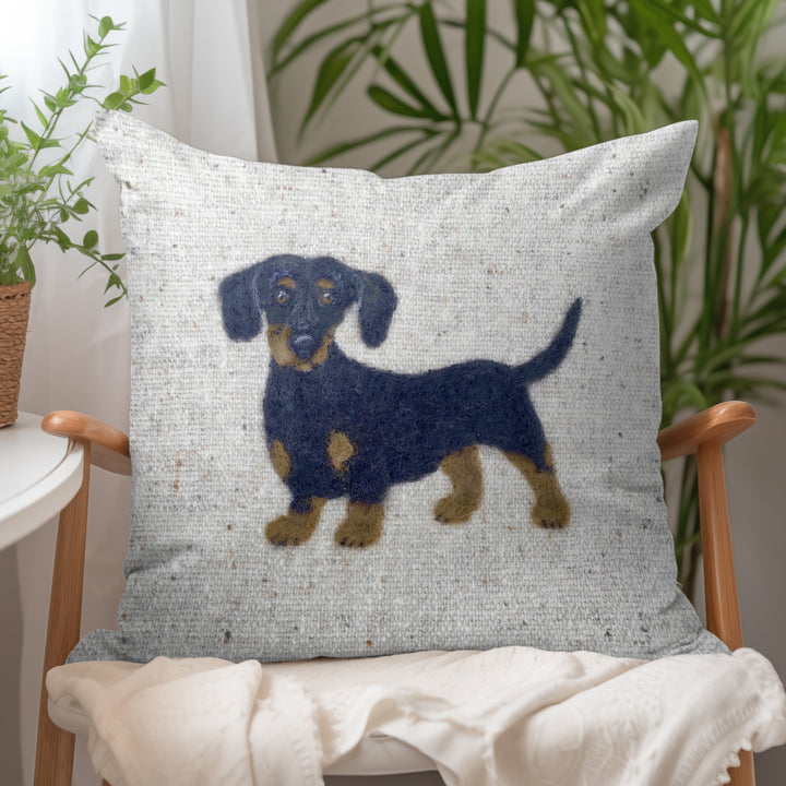 Dachshund