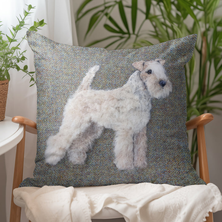 Lakeland Terrier