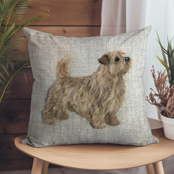 Norfolk Terrier