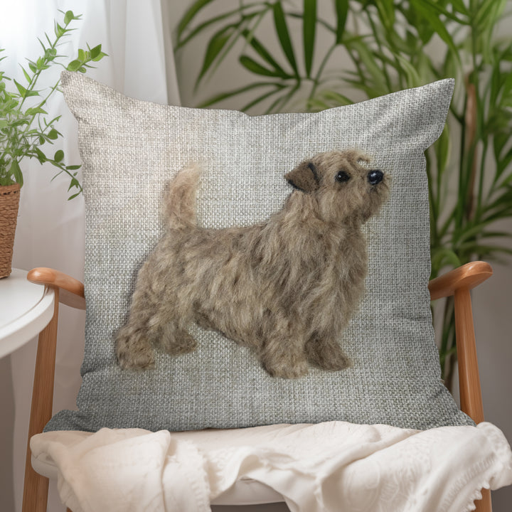 Norfolk Terrier
