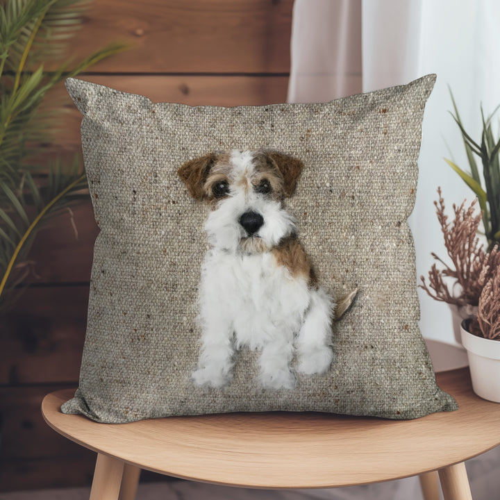 Rough Haired Jack Russell