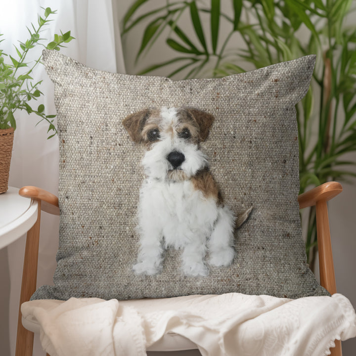 Rough Haired Jack Russell