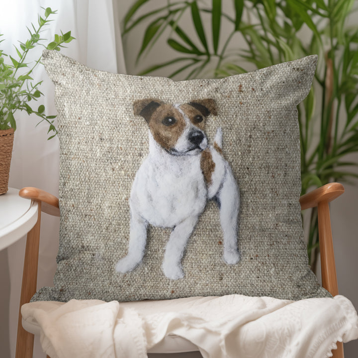 Smooth Haired Jack Russell