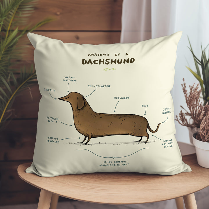 Anatomy of a Dachshund