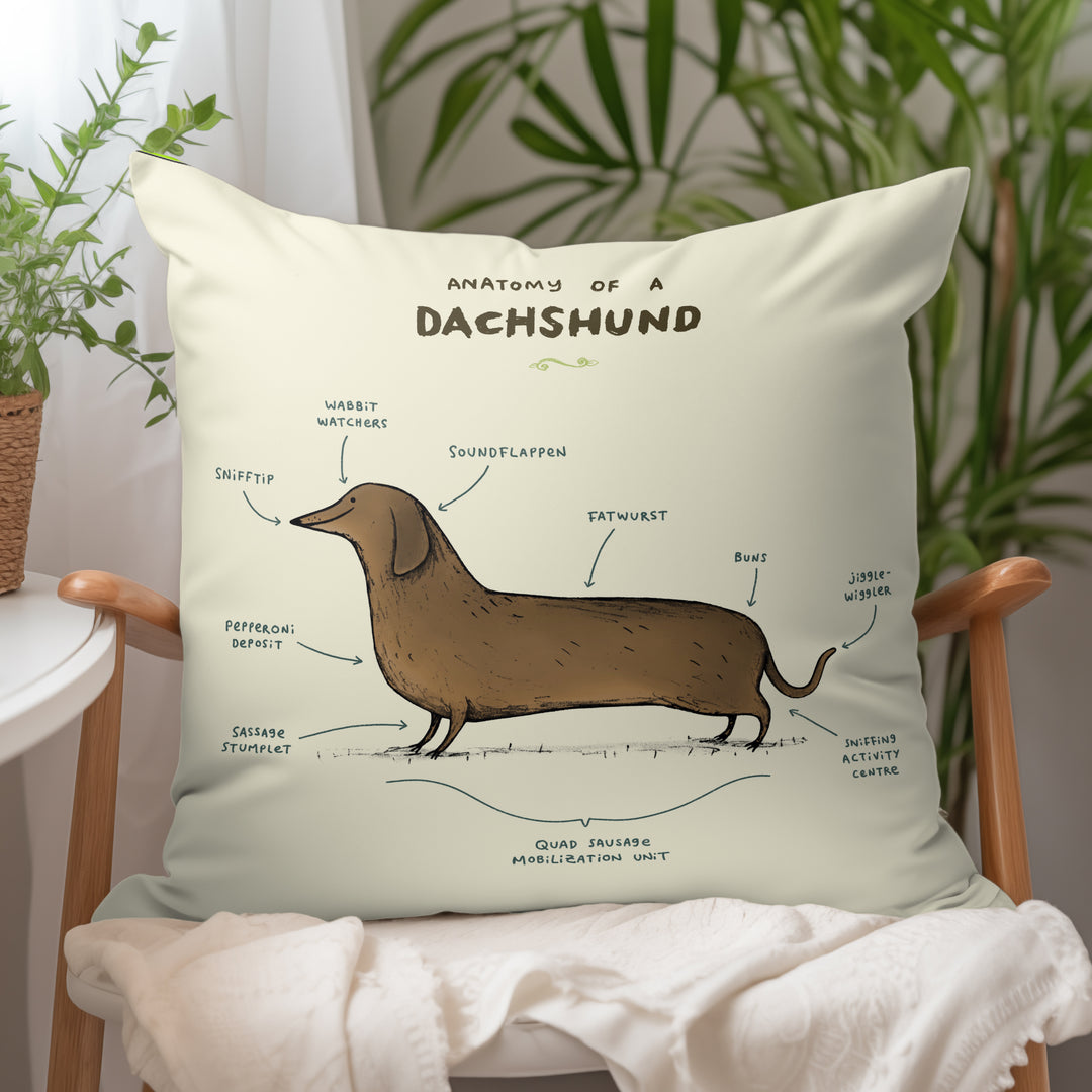 Anatomy of a Dachshund