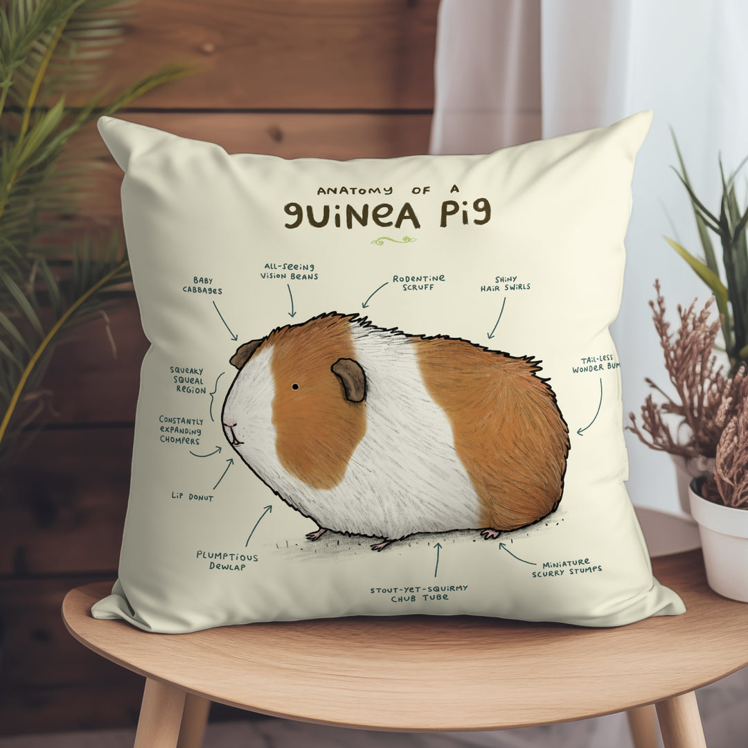 Anatomy of a Guinea Pig