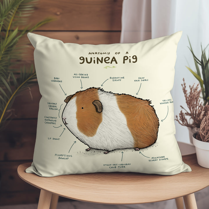 Anatomy of a Guinea Pig