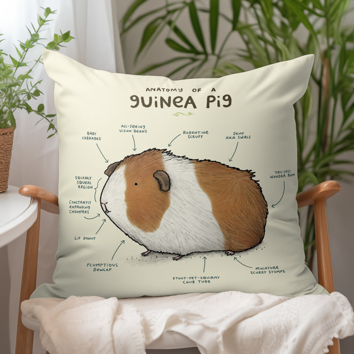 Anatomy of a Guinea Pig