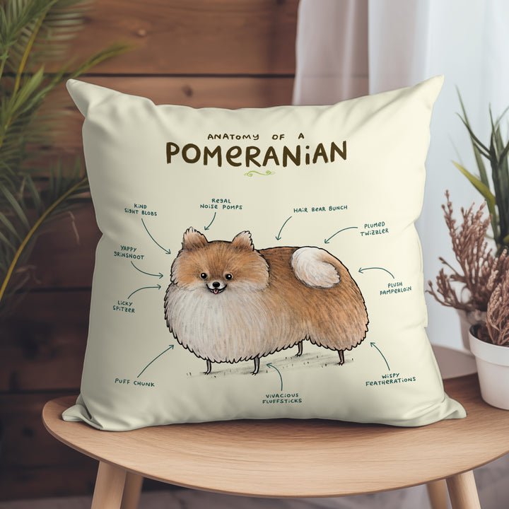 Anatomy of a Pomeranian
