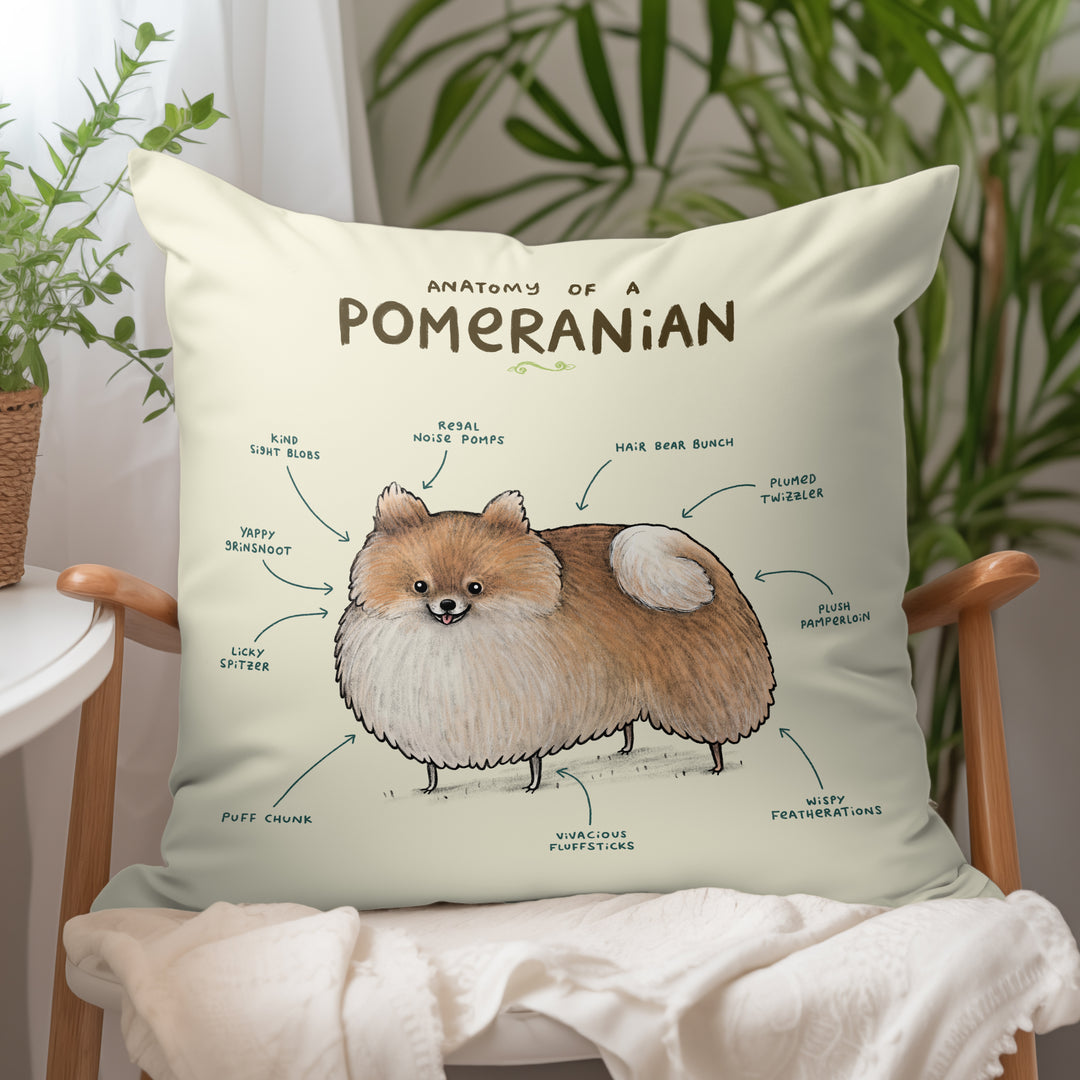 Anatomy of a Pomeranian