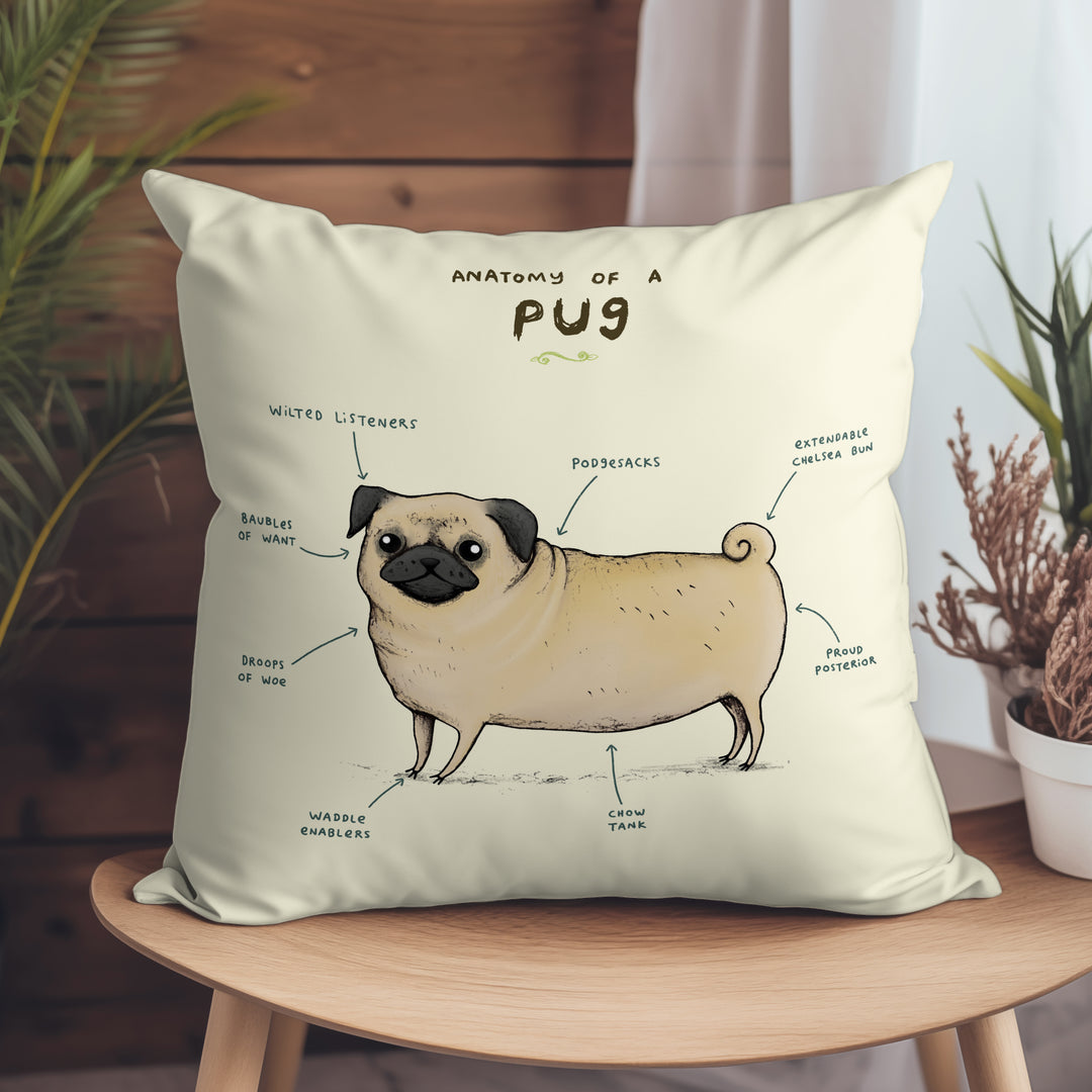 Anatomy of a Pug
