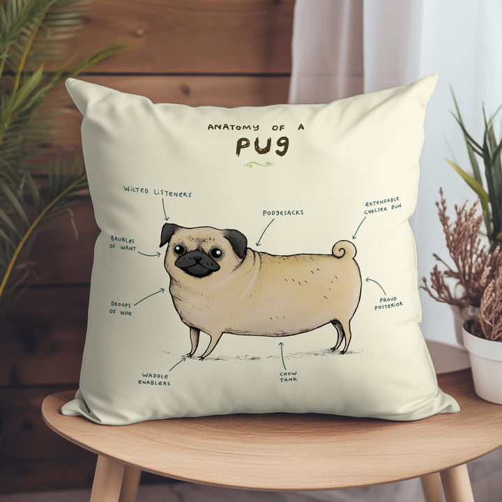 Anatomy of a Pug