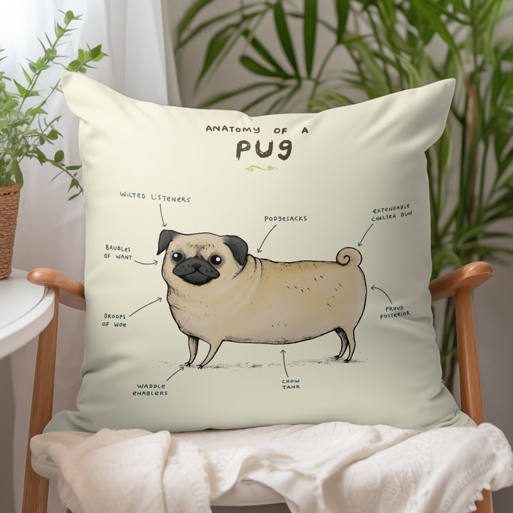 Anatomy of a Pug