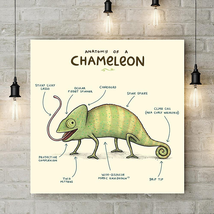 Anatomy of a Chameleon Deluxe Canvas - Sophie Corrigan - Wraptious