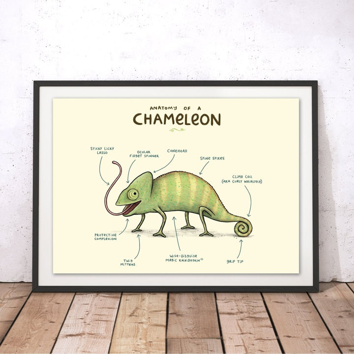 Anatomy of a Chameleon Original Print - Sophie Corrigan - Wraptious