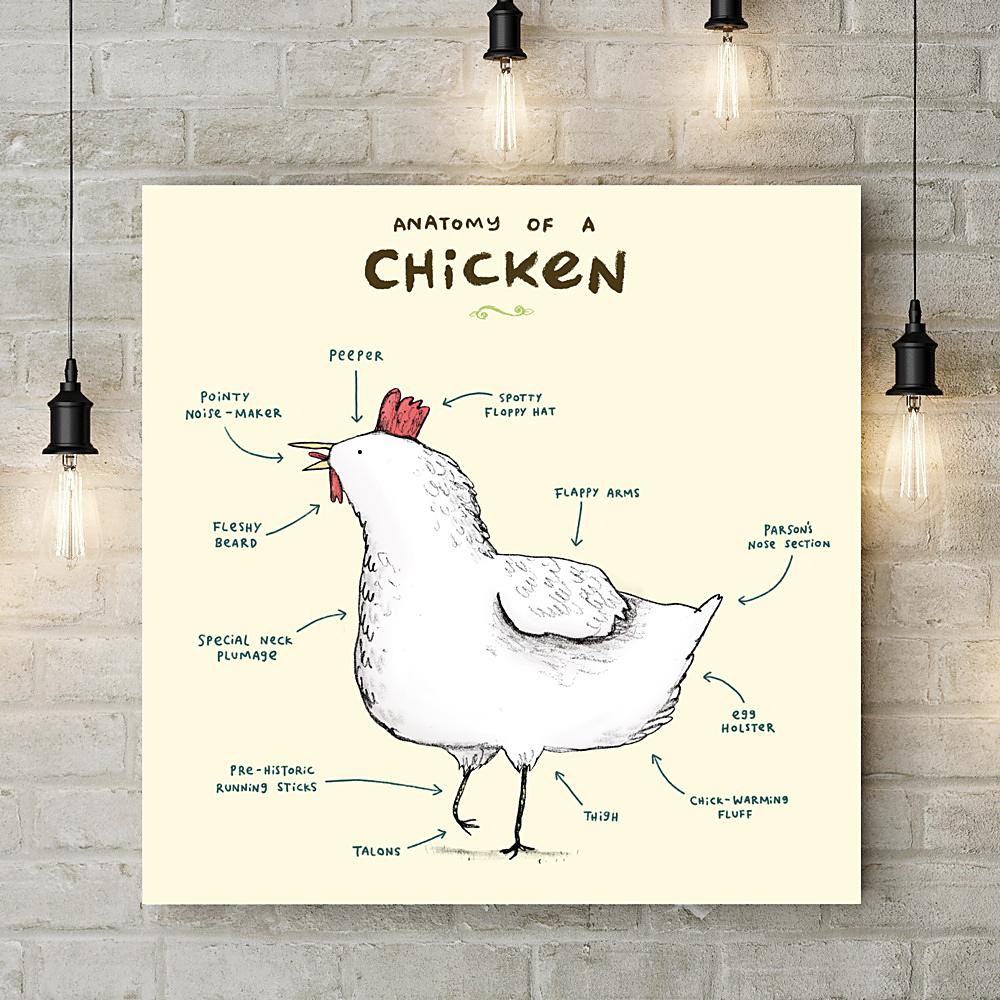 Anatomy of a Chicken Deluxe Canvas - Sophie Corrigan - Wraptious
