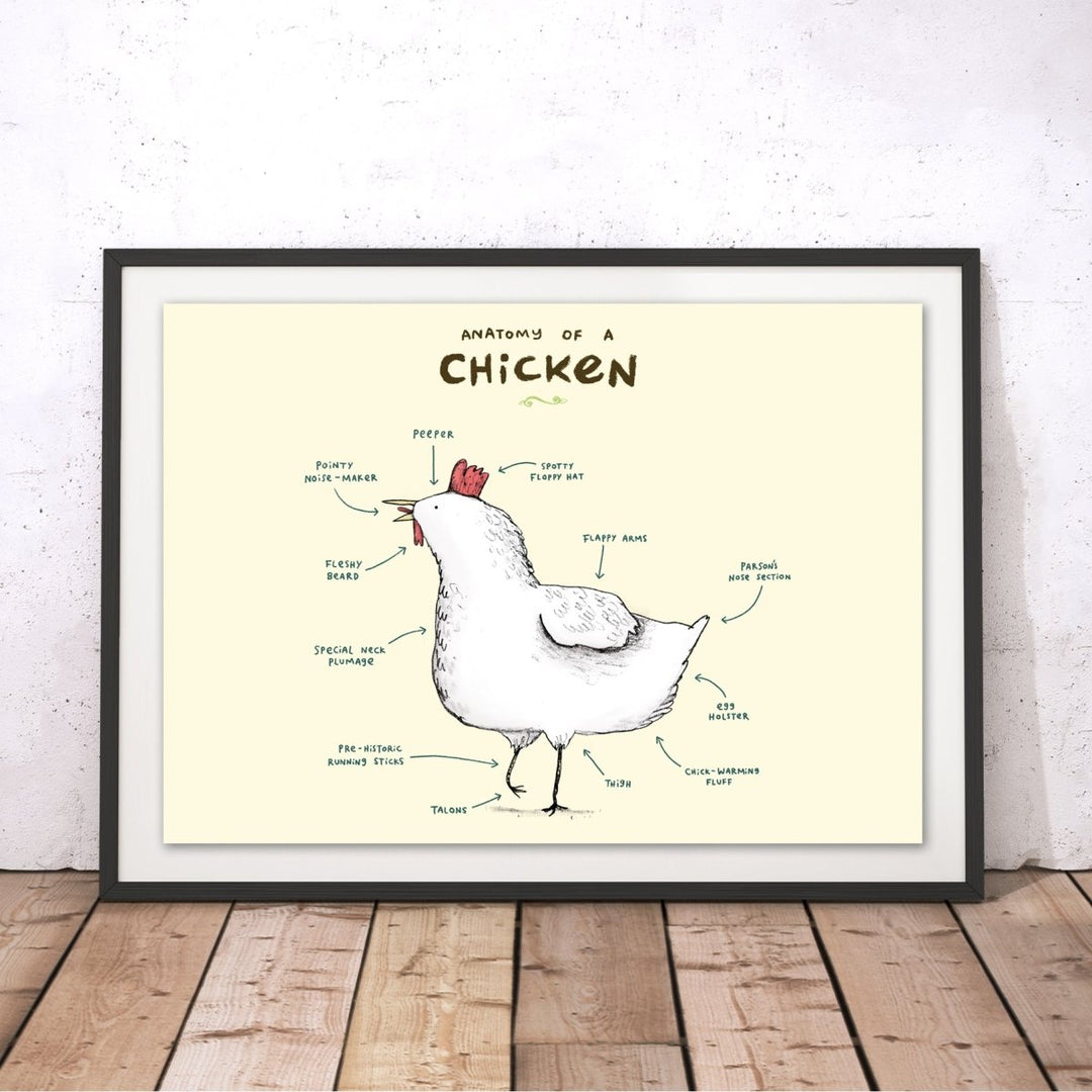 Anatomy of a Chicken Original Print - Sophie Corrigan - Wraptious