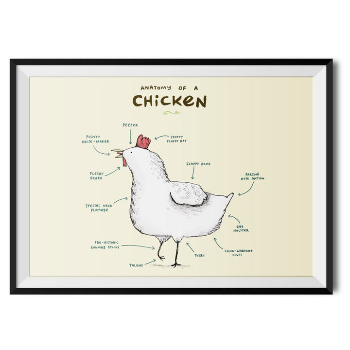 Anatomy of a Chicken Original Print - Sophie Corrigan - Wraptious