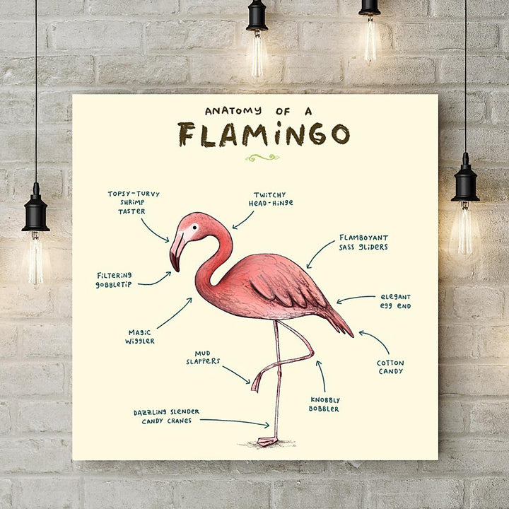 Anatomy of a Flamingo Deluxe Canvas - Sophie Corrigan - Wraptious