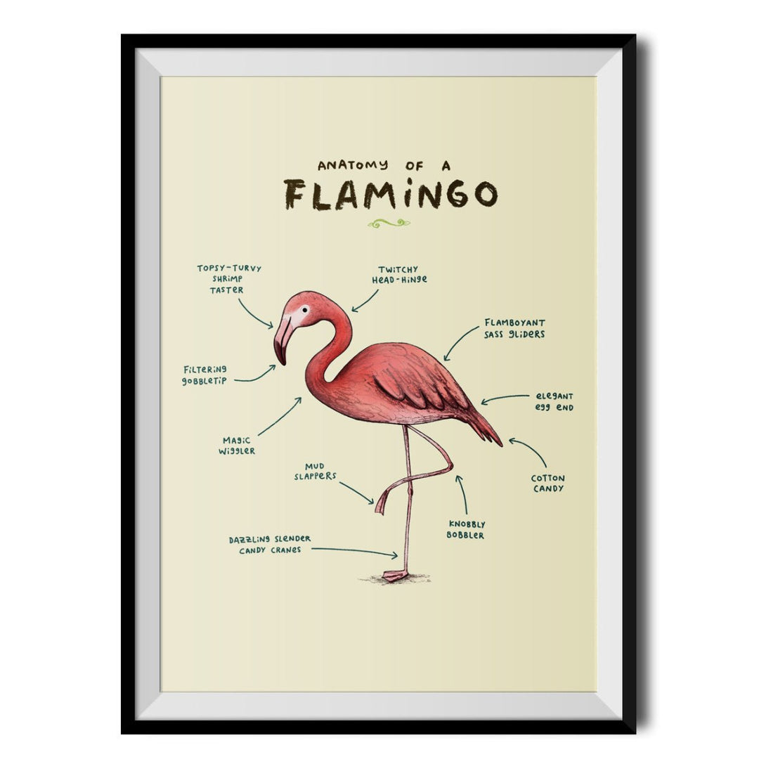 Anatomy of a Flamingo Original Print - Sophie Corrigan - Wraptious