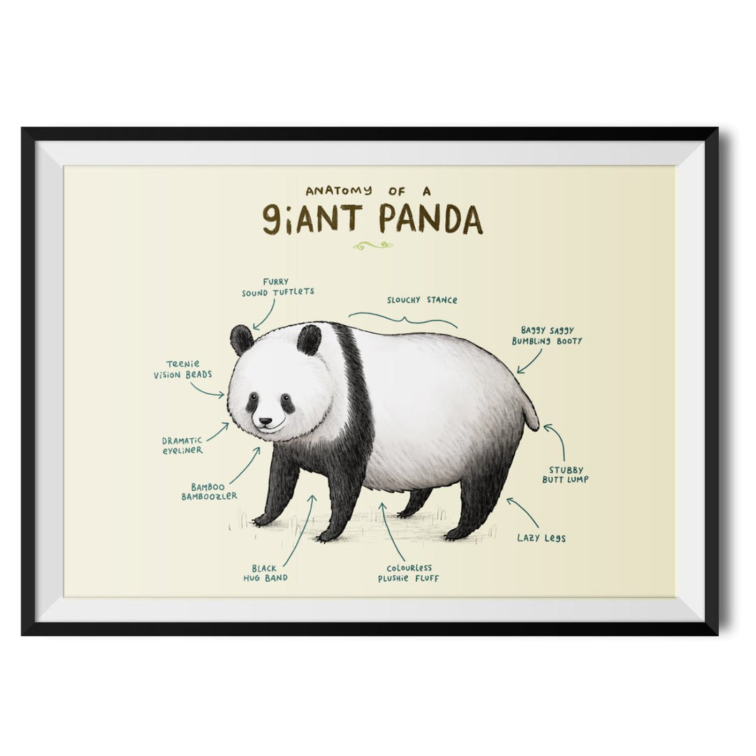 Anatomy of a Giant Panda Original Print - Sophie Corrigan - Wraptious