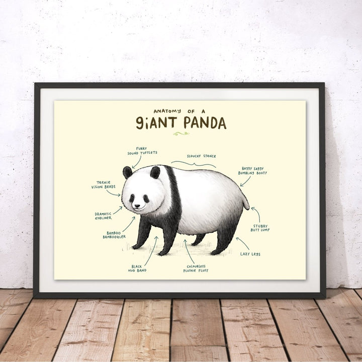 Anatomy of a Giant Panda Original Print - Sophie Corrigan - Wraptious