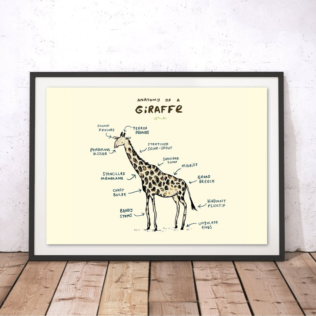 Anatomy Of A Giraffe Original Print - Sophie Corrigan - Wraptious