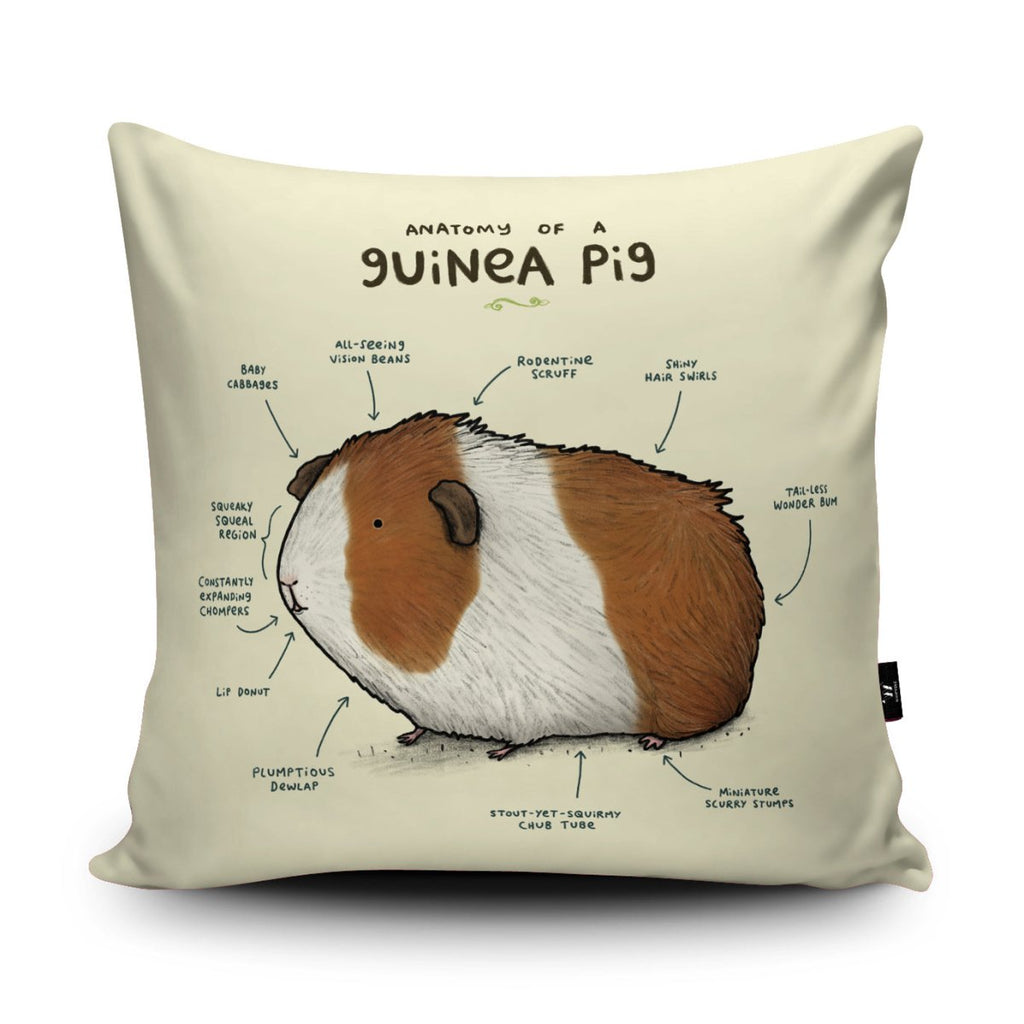 Guinea store pig cushions